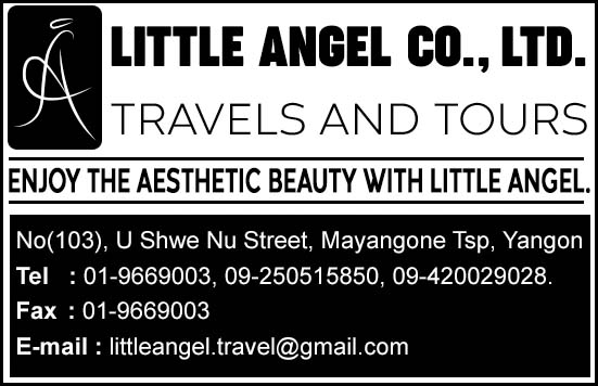 Little Angel Co., Ltd.